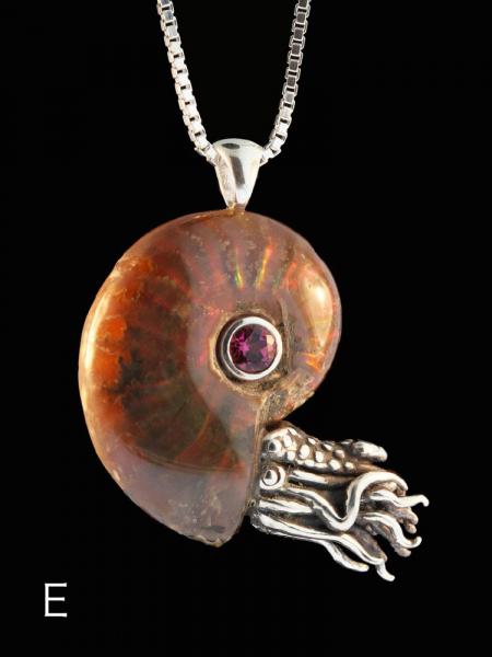 Fossilized Ammonite Nautilus Necklace - 5mm Gemstone - Silver picture