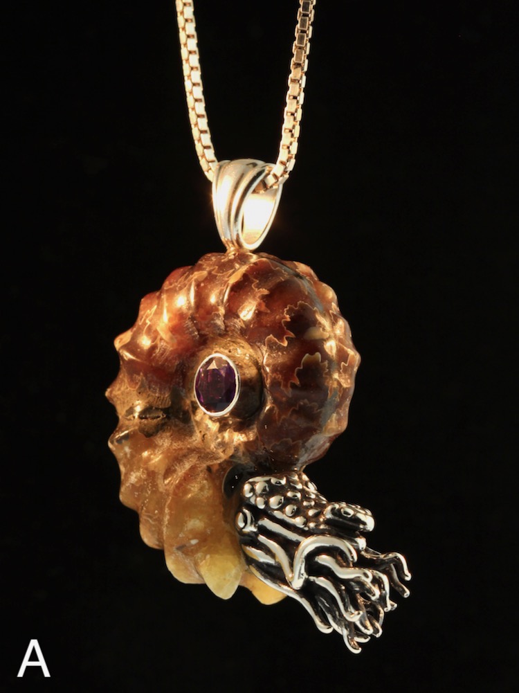 Spiky Fossilized Ammonite Nautilus Necklace with Gemstone - Silver picture