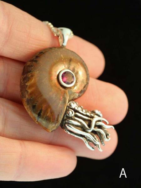 Fossilized Ammonite Nautilus Necklace - 5mm Gemstone - Silver picture