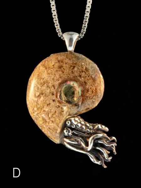 Fossilized Ammonite Nautilus Necklace - Silver picture