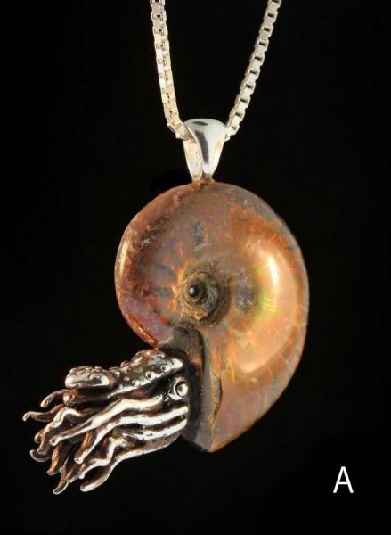 Fossilized Ammonite Nautilus Necklace - 5mm Gemstone - Silver picture