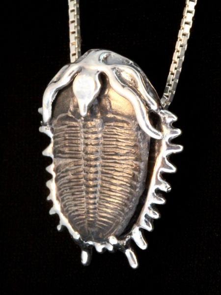 Trilobite Fossil Pendant - Silver picture