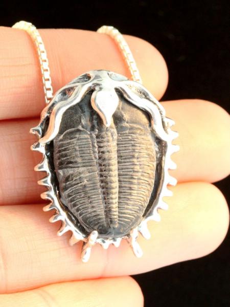 Trilobite Fossil Pendant - Silver picture