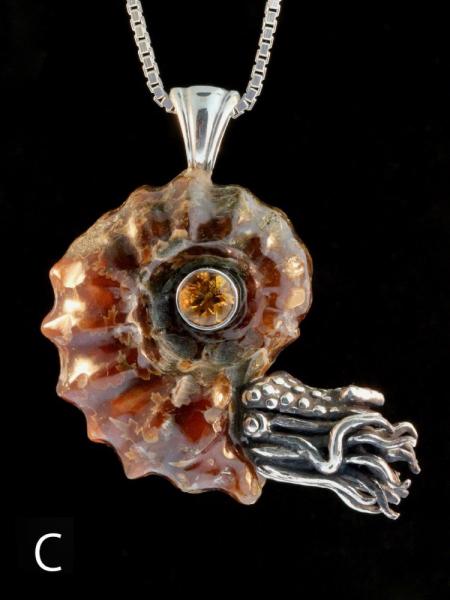 Spiky Fossilized Ammonite Nautilus Necklace with Gemstone - Silver picture