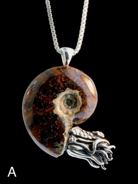 Fossilized Ammonite Nautilus Necklace - Silver