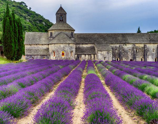 SÉNANQUE ABBEY picture