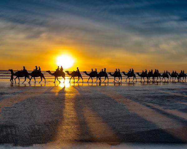 SUNSET CARAVAN picture