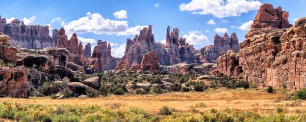 NEEDLES PANORAMA picture