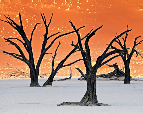 SOSSUSVLEI picture