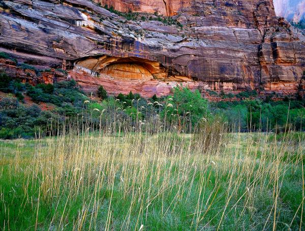 TALLGRASS & ALCOVE picture