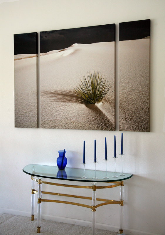 ZEN YUCCA TRIPTYCH picture