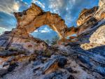 INCHWORM ARCH