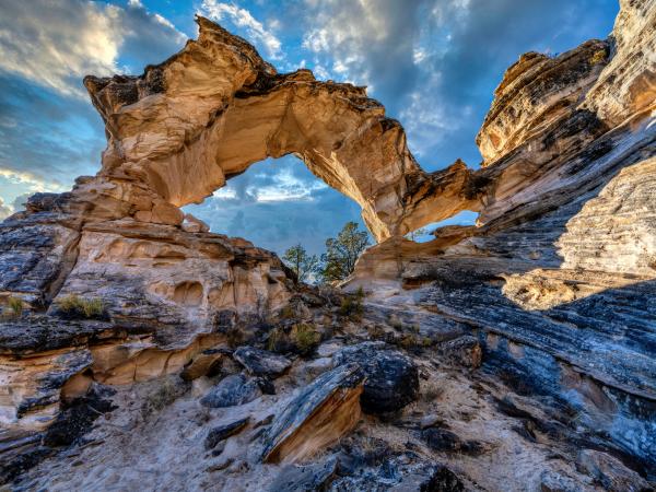 INCHWORM ARCH picture