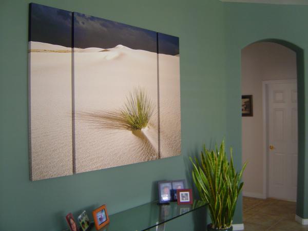 ZEN YUCCA TRIPTYCH picture