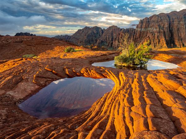 SNOW CANYON picture