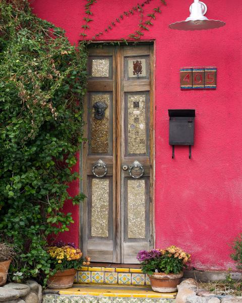 ENCHANTED DOOR