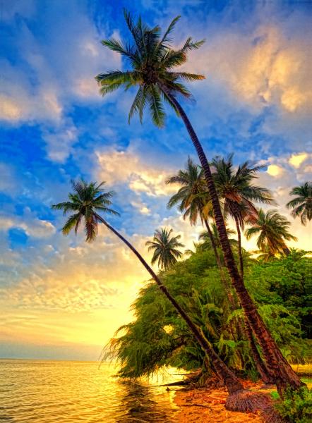 TROPICAL SUNSET picture