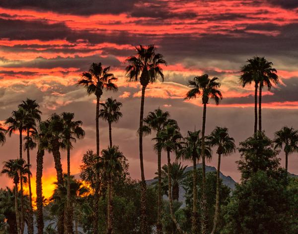 PALM DESERT SUNRISE