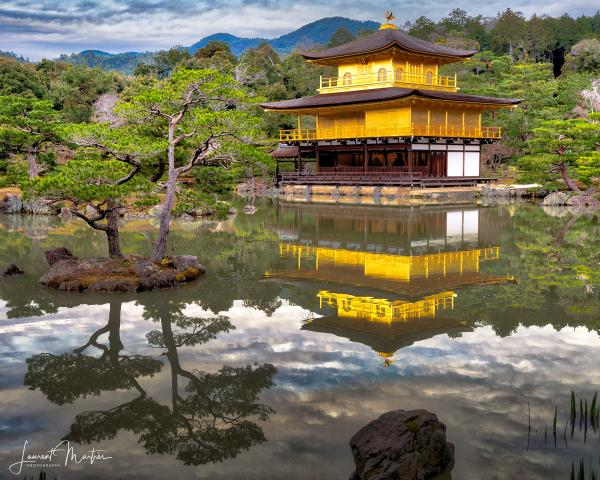 GOLDEN PAVILION picture