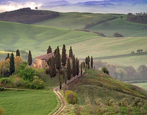 TUSCAN BEAUTY