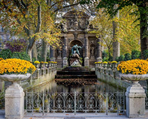 FONTAINE MEDICIS picture