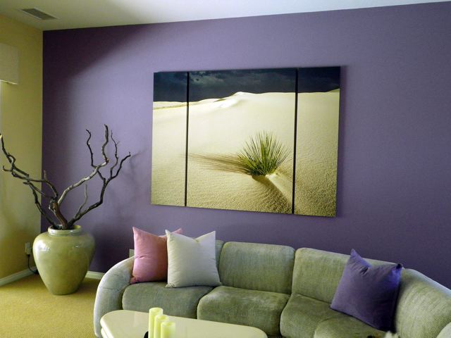 ZEN YUCCA TRIPTYCH picture