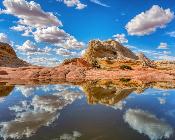 WHITE POCKET FOUR CLOUDS picture