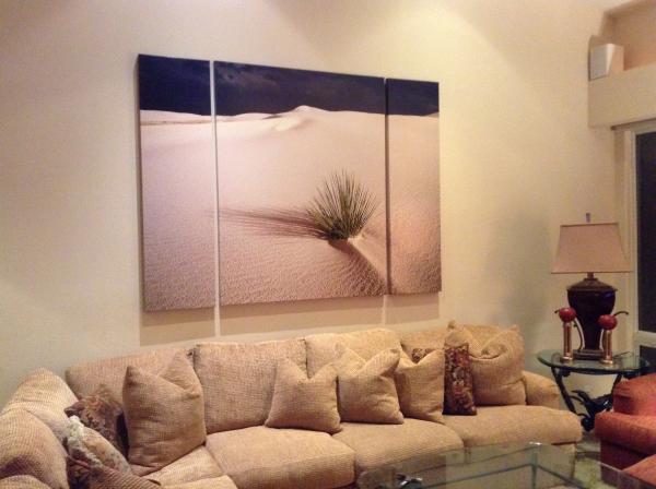 ZEN YUCCA TRIPTYCH picture