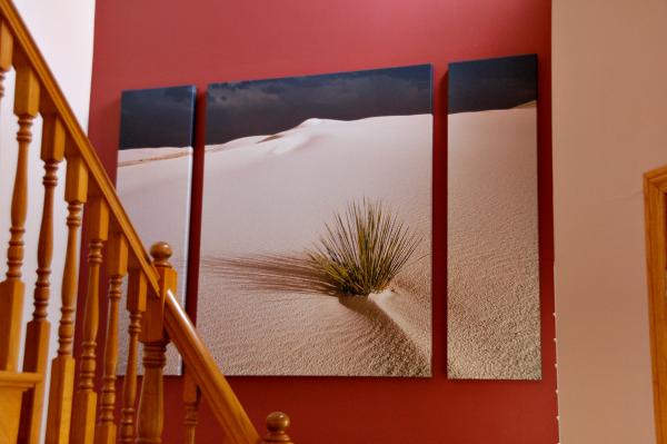ZEN YUCCA TRIPTYCH picture