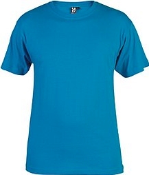 T-shirt picture