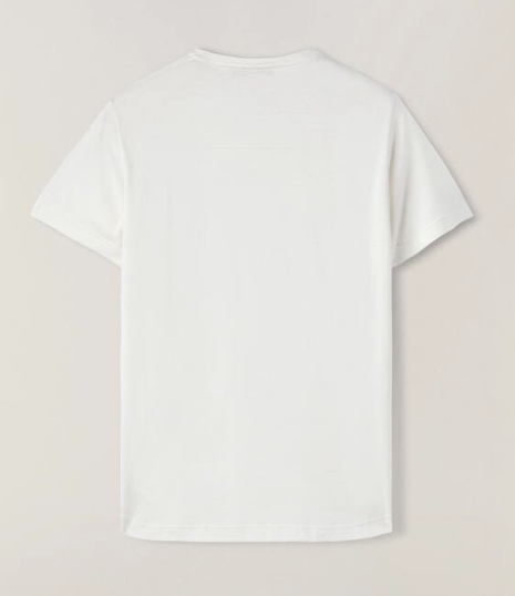 T-shirt picture