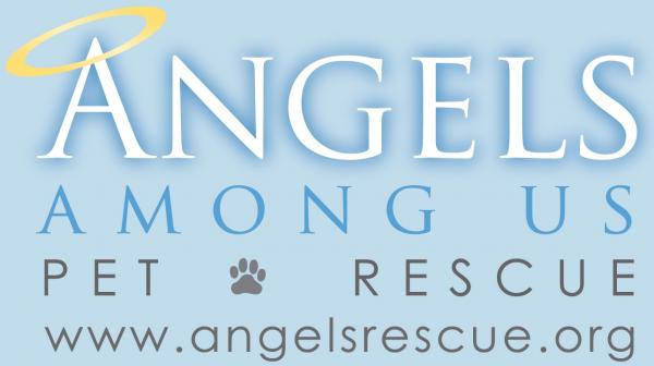 Angels Among Us Pet Rescue