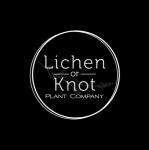 Lichen Or Knot Plant Company