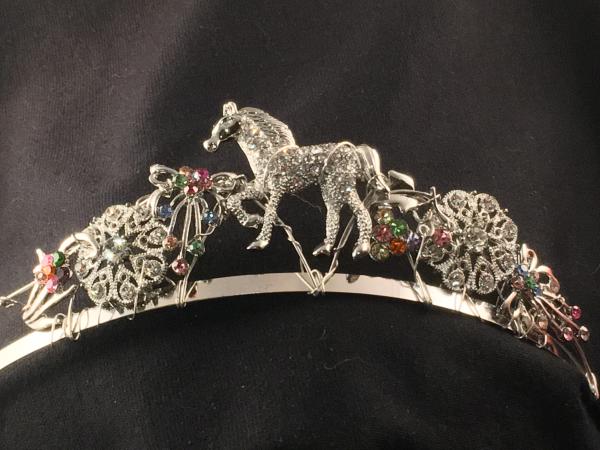 Horse Tiaras picture