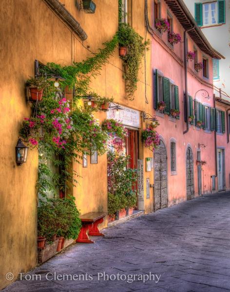 Streets of Lucca picture