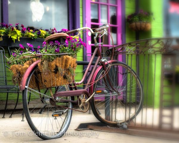 Wheels of Leadville picture