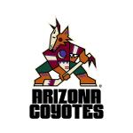 Arizona Coyotes