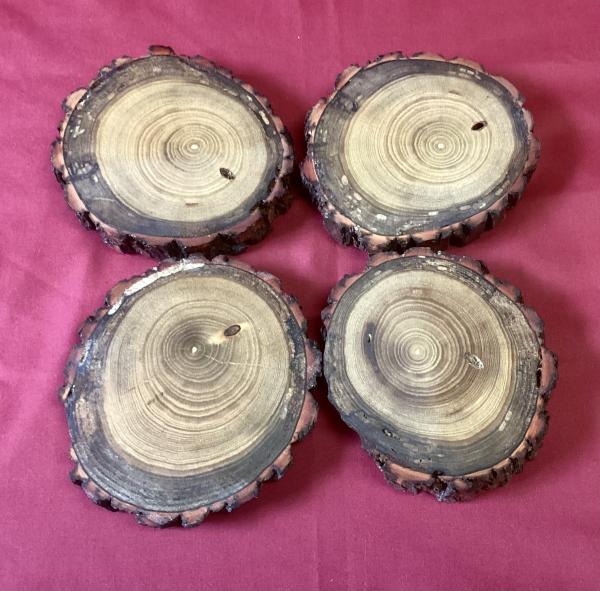 Sassafras Coasters