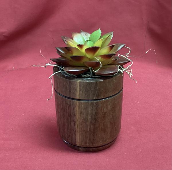 Walnut Vase with Succulent Plant