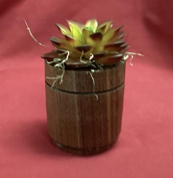 Walnut Vase with Succulent Plant picture