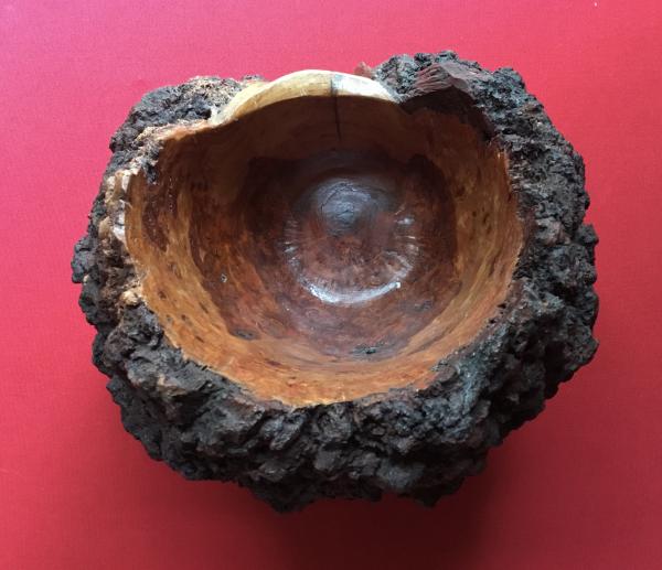 Cherry Burl Bowl picture