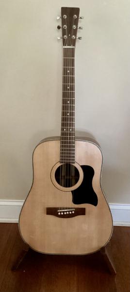 Acoustic Guitar/Sitka and Walnut picture