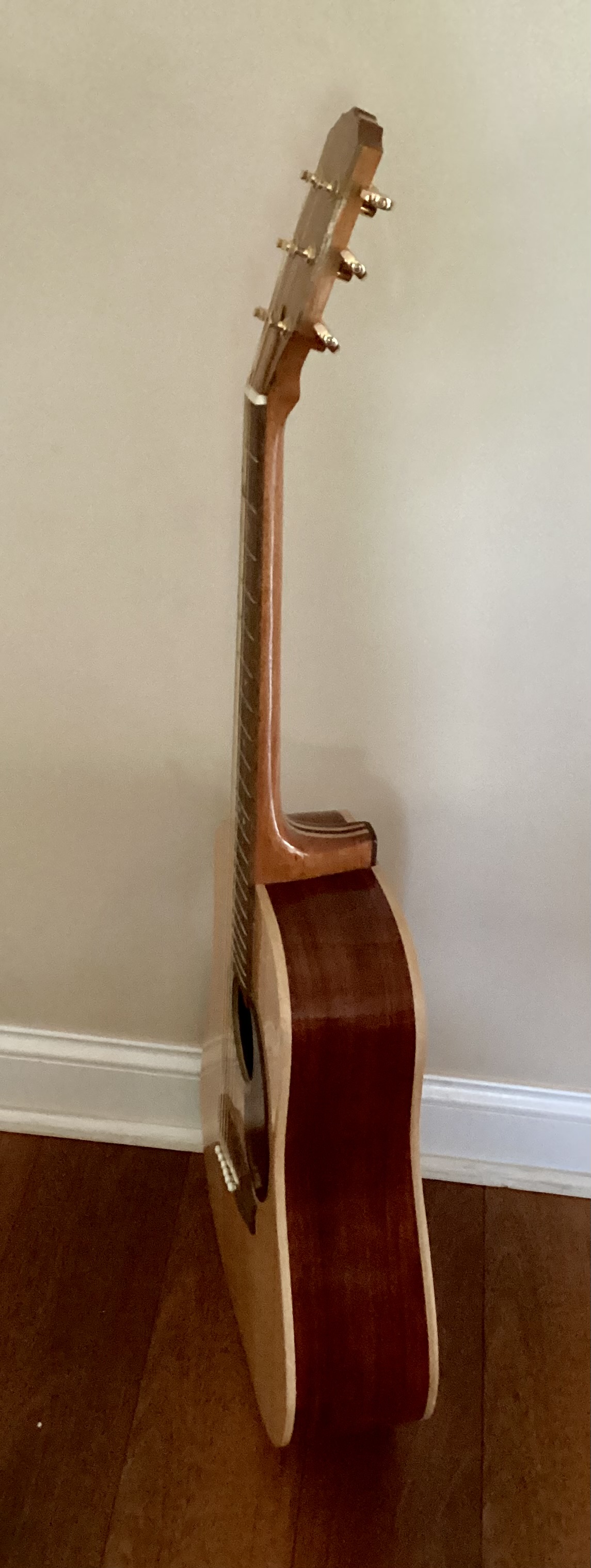 Acoustic Guitar/Sitka and Padauk picture