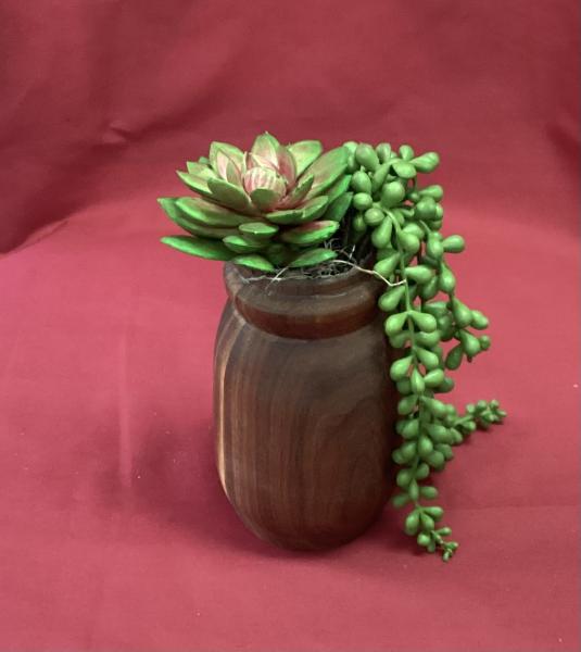 Walnut Vase with Artificial  Succulent Plants