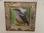 Picture frame with small abalone shells