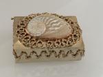 Memory box with natural shell