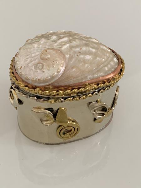 Memory box with natural shell