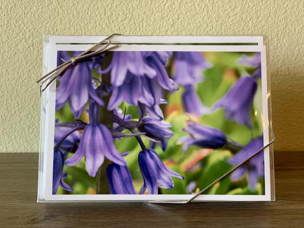 Greeting Card Gift Set-- Botanicals, Set of 10 picture