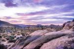 Painted Desert