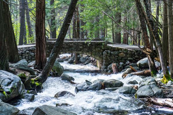 Stone Footbridge